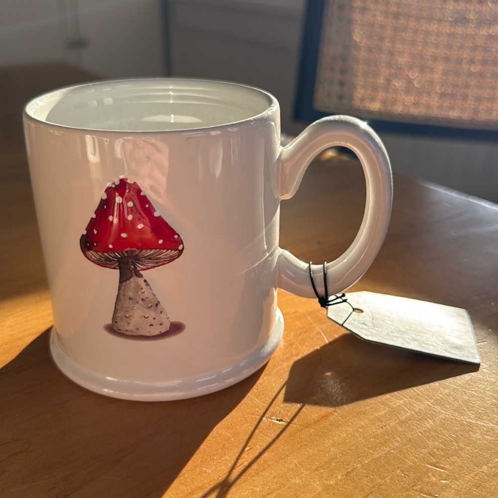 The Old Pottery Company - mushroom mug